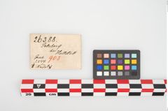 Etikett zu Bronzemehrkopfnadel (NHMW-PRAE-026388)